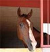 Horse Stable Matting Installation Guide