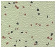 Speckled Style Finished Metal Flooring
