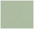 Smooth Top Flooring ~ Pistachioa