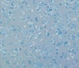 Terrazzo style tiles Mermaid Blue