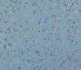 Terrazzo style tiles Deep Sea Blue