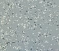 Terrazzo style tiles Aluminium Grey