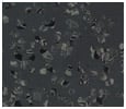 Terrazzo style tiles Charcoal