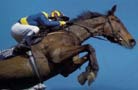 Horse Stable Mat