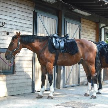 Stable Rubber Flooring