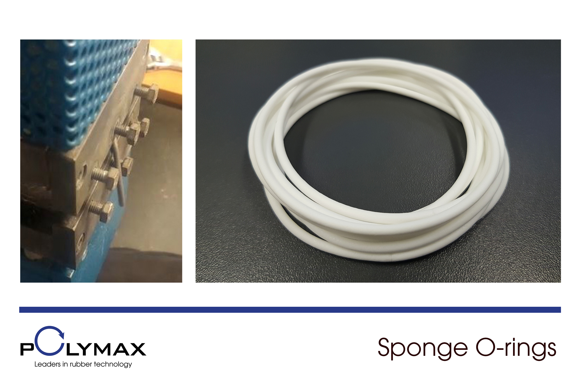 Sponge O-rings, Cord Bonding at Polymax