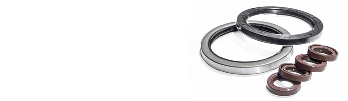 Oil Seals and Rotary Seals at Polymax